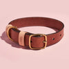 Luxury Leather Dog Collar sbri