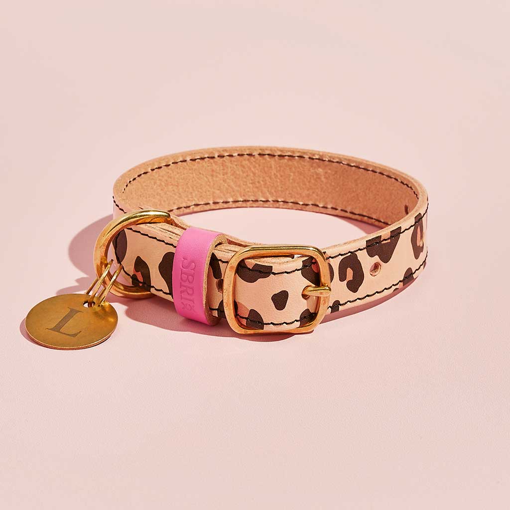 Luxury Leather Dog Collar