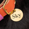 Personalised Dog ID Tag