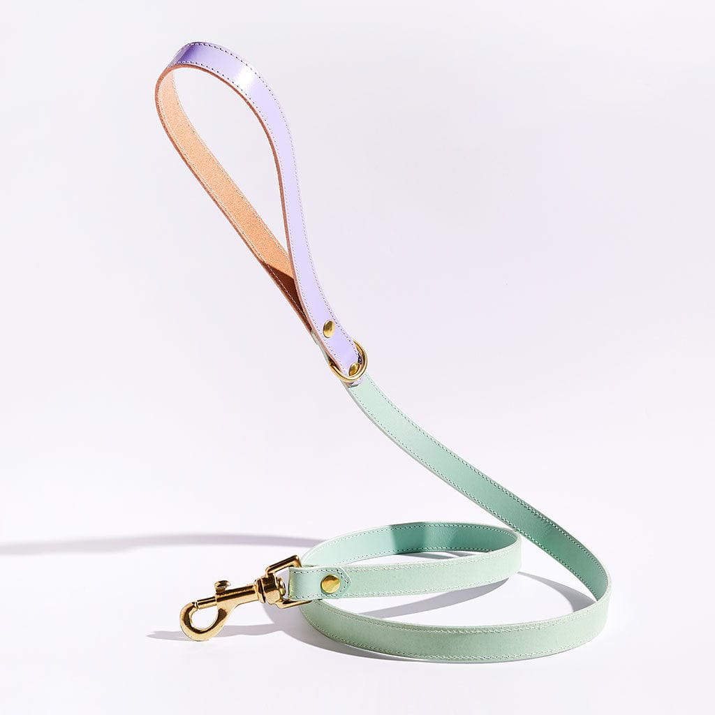 Mint green luxury leather dog lead with lilac handle - Sbri